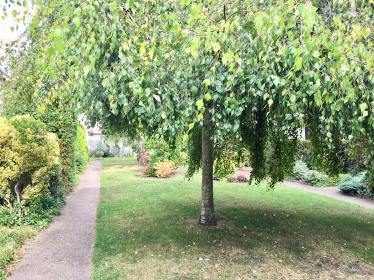 Apartment Homely & Cosy 3 Bed Birch Close House With Free Parking, Garden & Sleeps 8 *